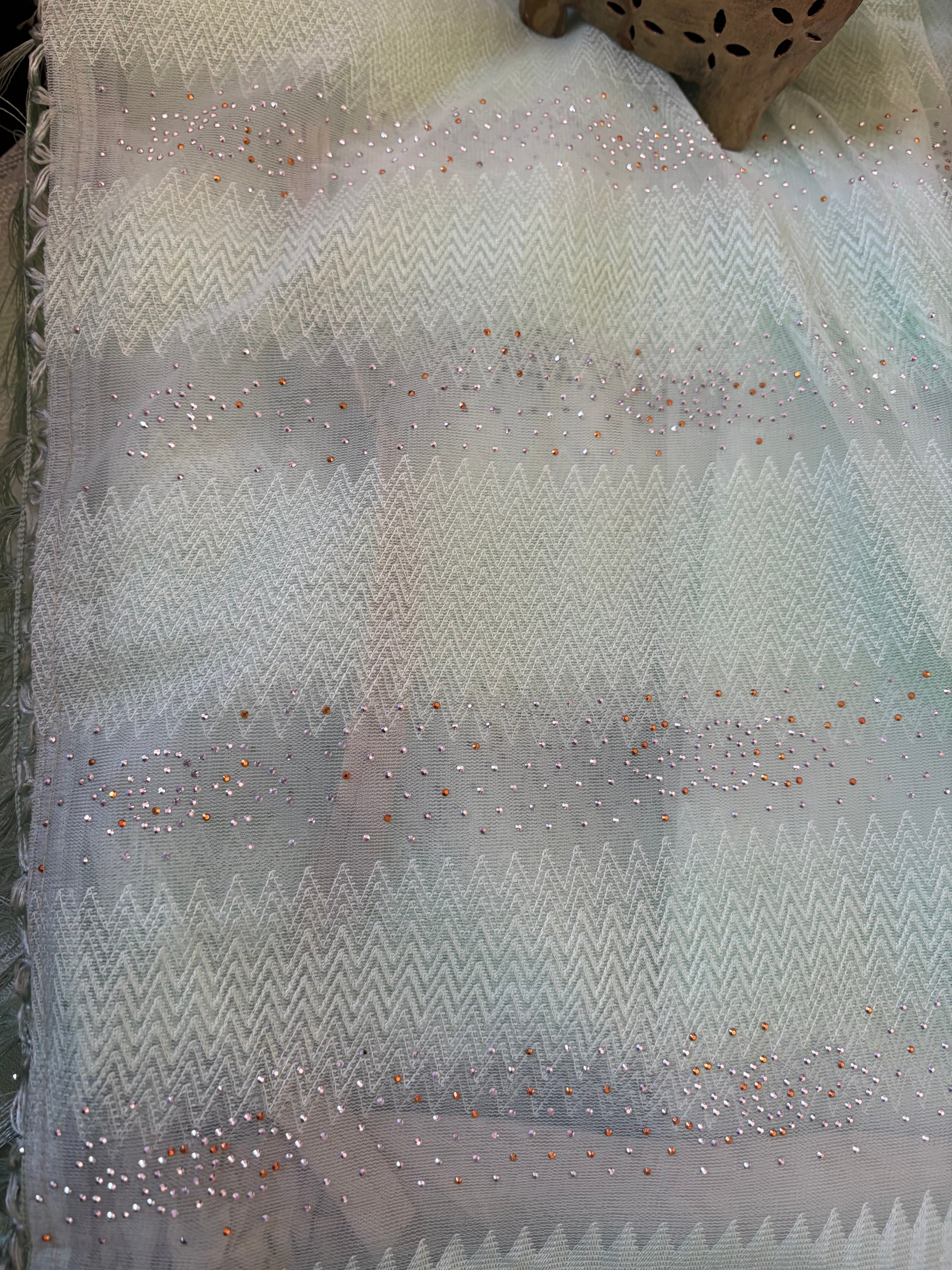 light Green Net Saree