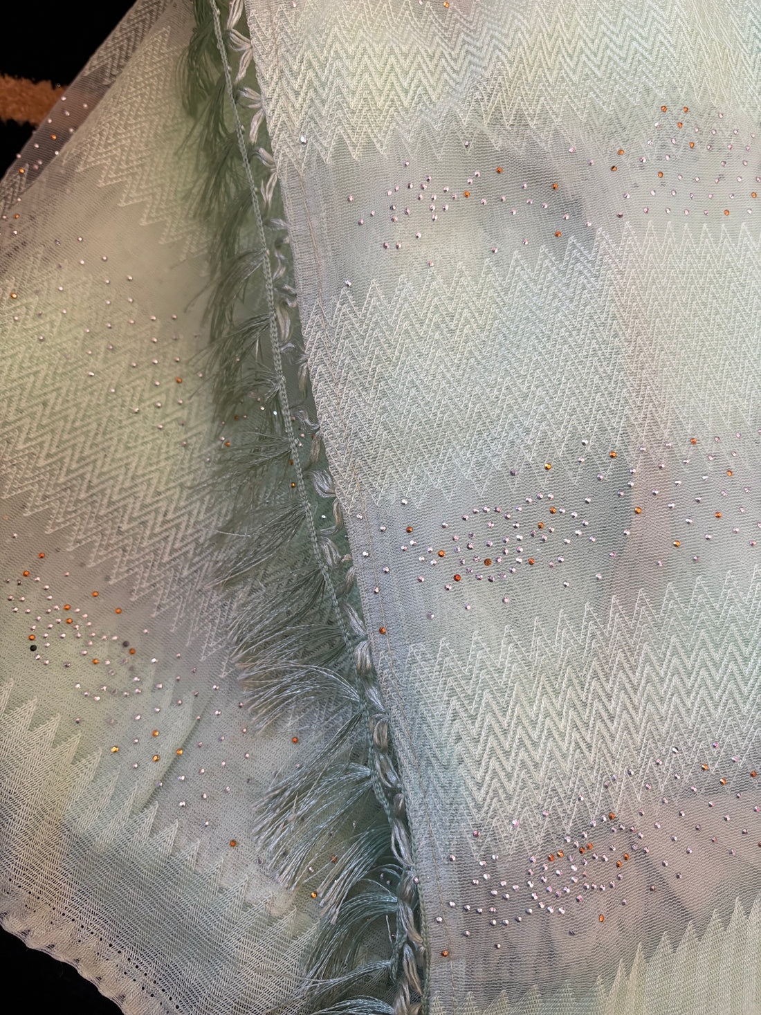 light Green Net Saree