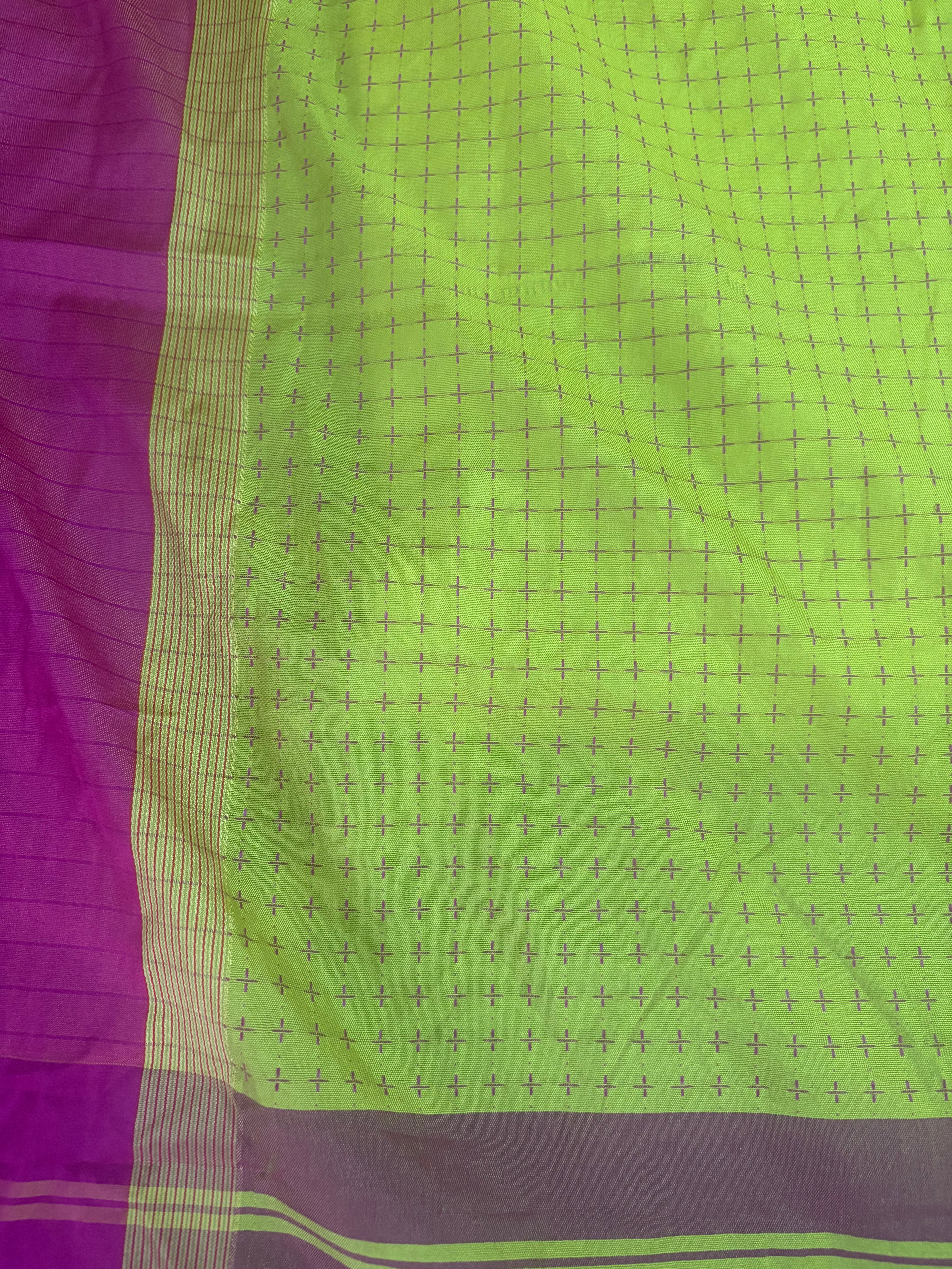 Lime & Plum Fusion Saree